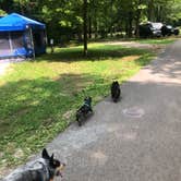 Review photo of Harmonie State Park Campground by Shelly S., June 21, 2019