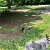 Review photo of Harmonie State Park Campground by Shelly S., June 21, 2019