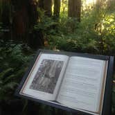 Review photo of Rasar State Park Campground by Bjorn S., August 22, 2015