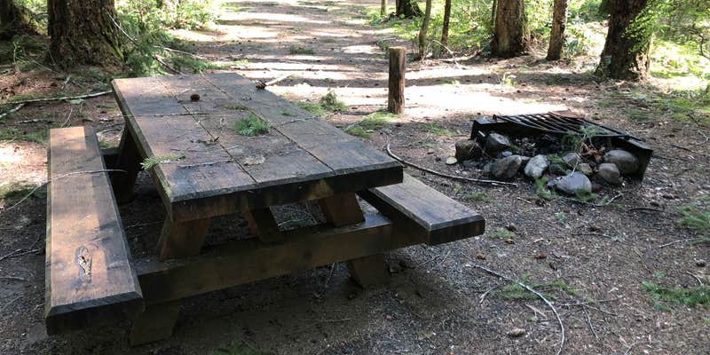 Camper submitted image from Lewis River Campground Community of Christ