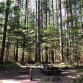 Review photo of Lewis River Campground Community of Christ by Stephanie Z., June 21, 2019