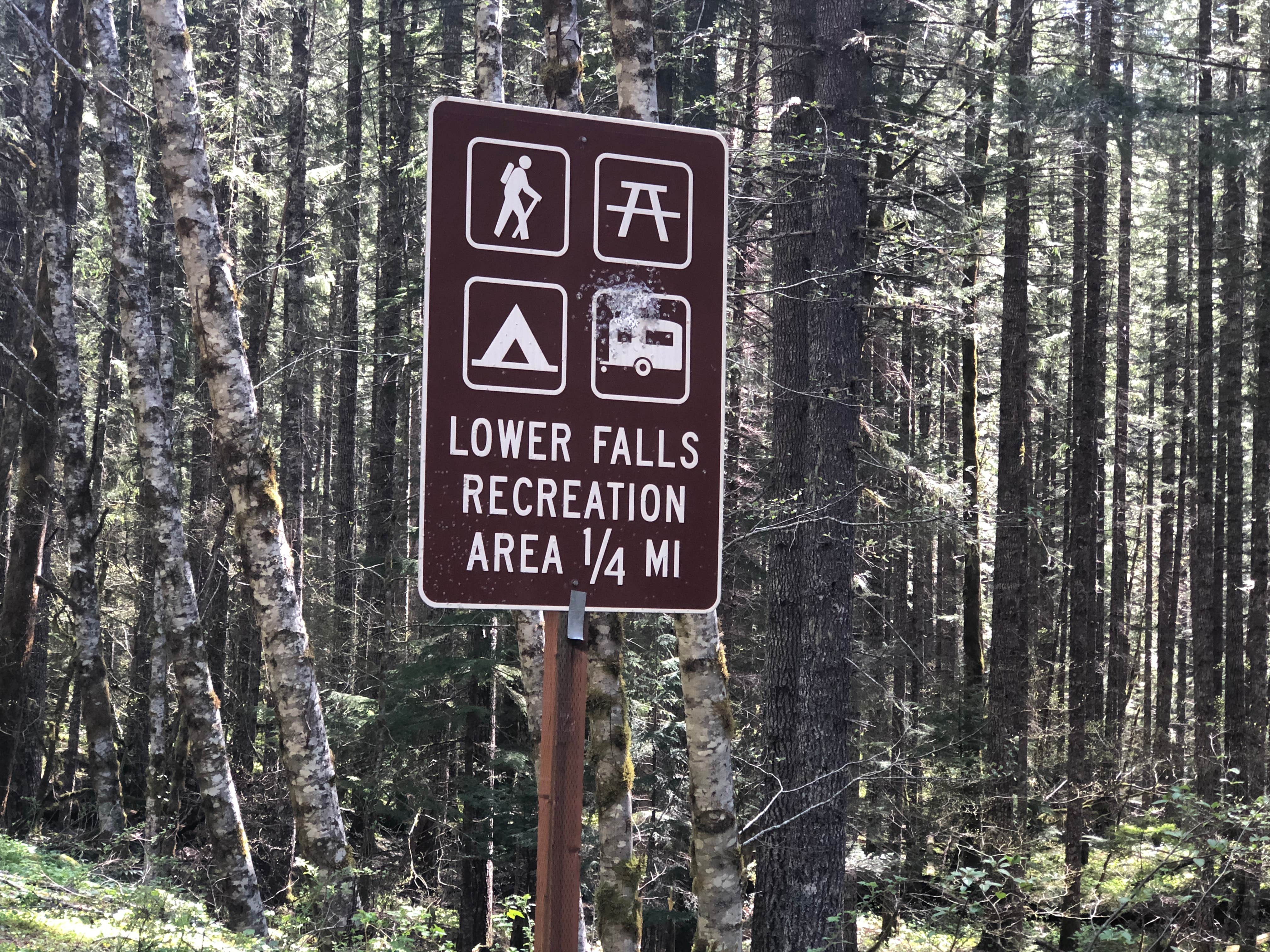 Camper-submitted photo at Lewis River Campground Community of Christ near Yacolt, WA