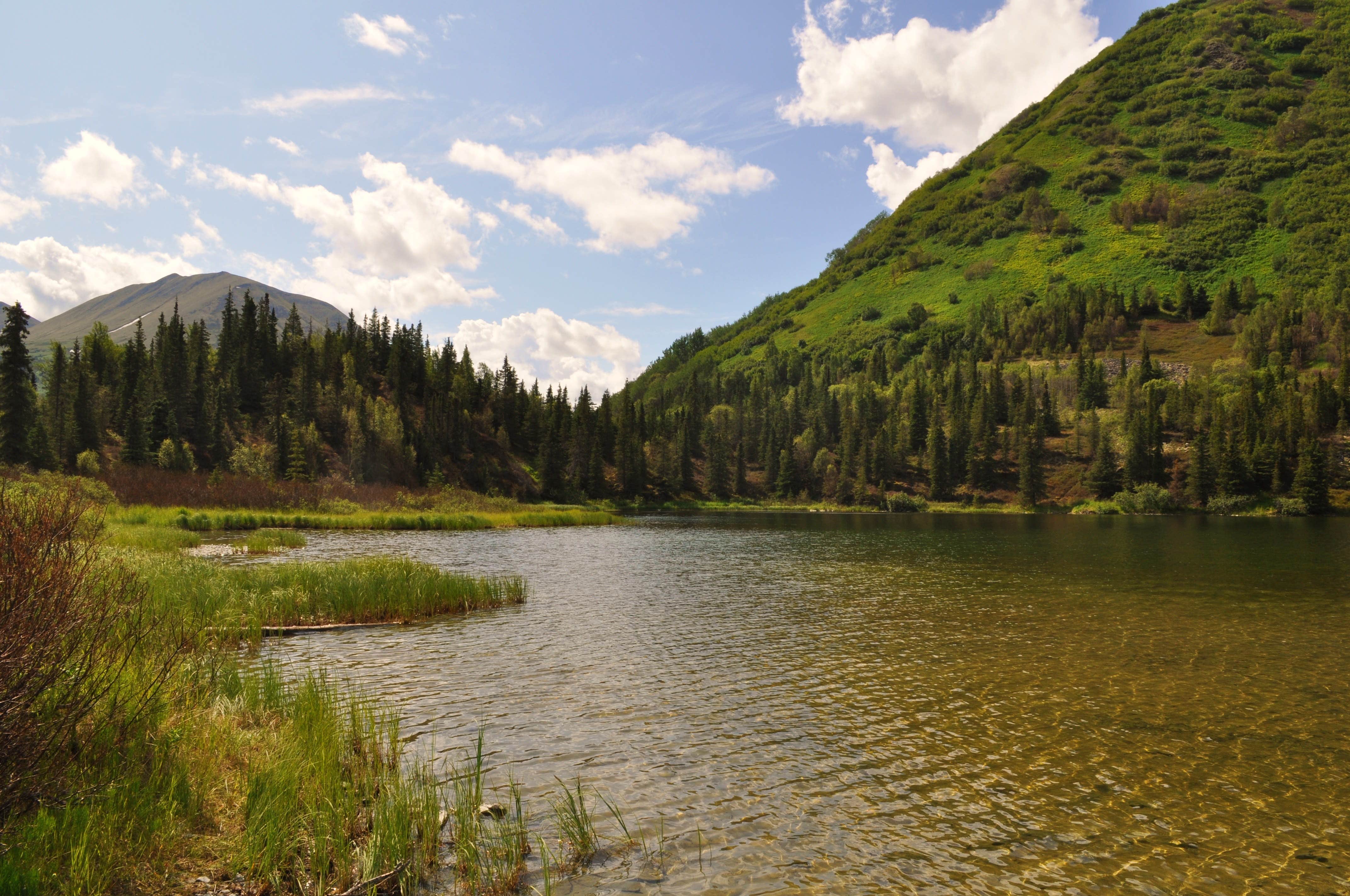 Camper-submitted photo at Juneau Lake Cabin near Moose Pass, AK