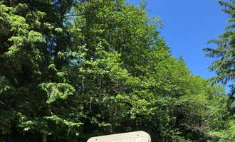 Camping near Lake Merwin Camper's Hideaway: Lone Fir Resort, Cougar, Washington