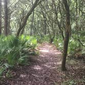 Review photo of Manatee Springs State Park Campground by Kara’s C., June 21, 2019