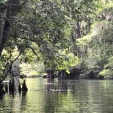 Review photo of Manatee Springs State Park Campground by Kara’s C., June 21, 2019