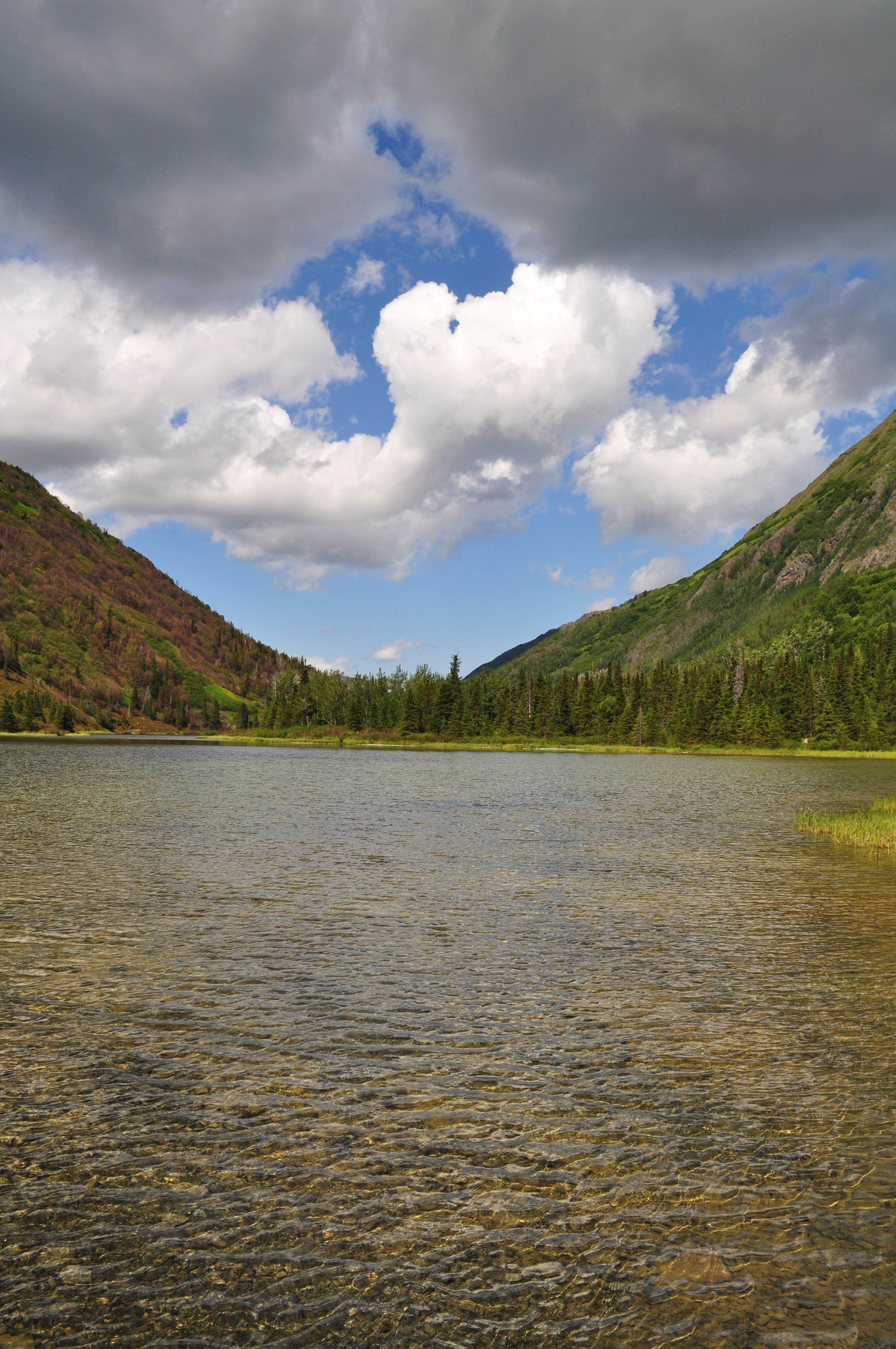 Camper-submitted photo at Juneau Lake Cabin near Moose Pass, AK