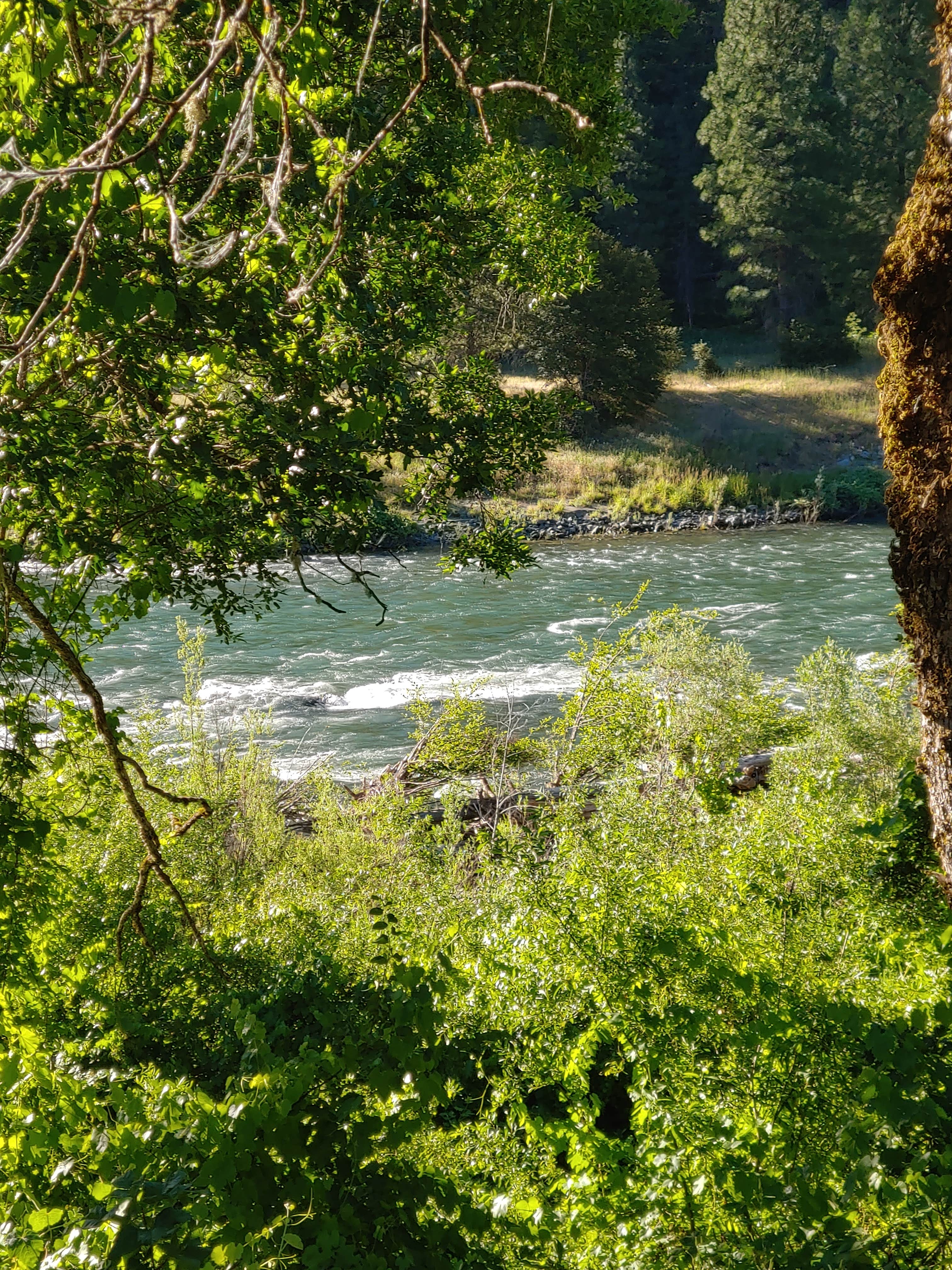 Camper submitted image from Hayden Flat Campground - 2