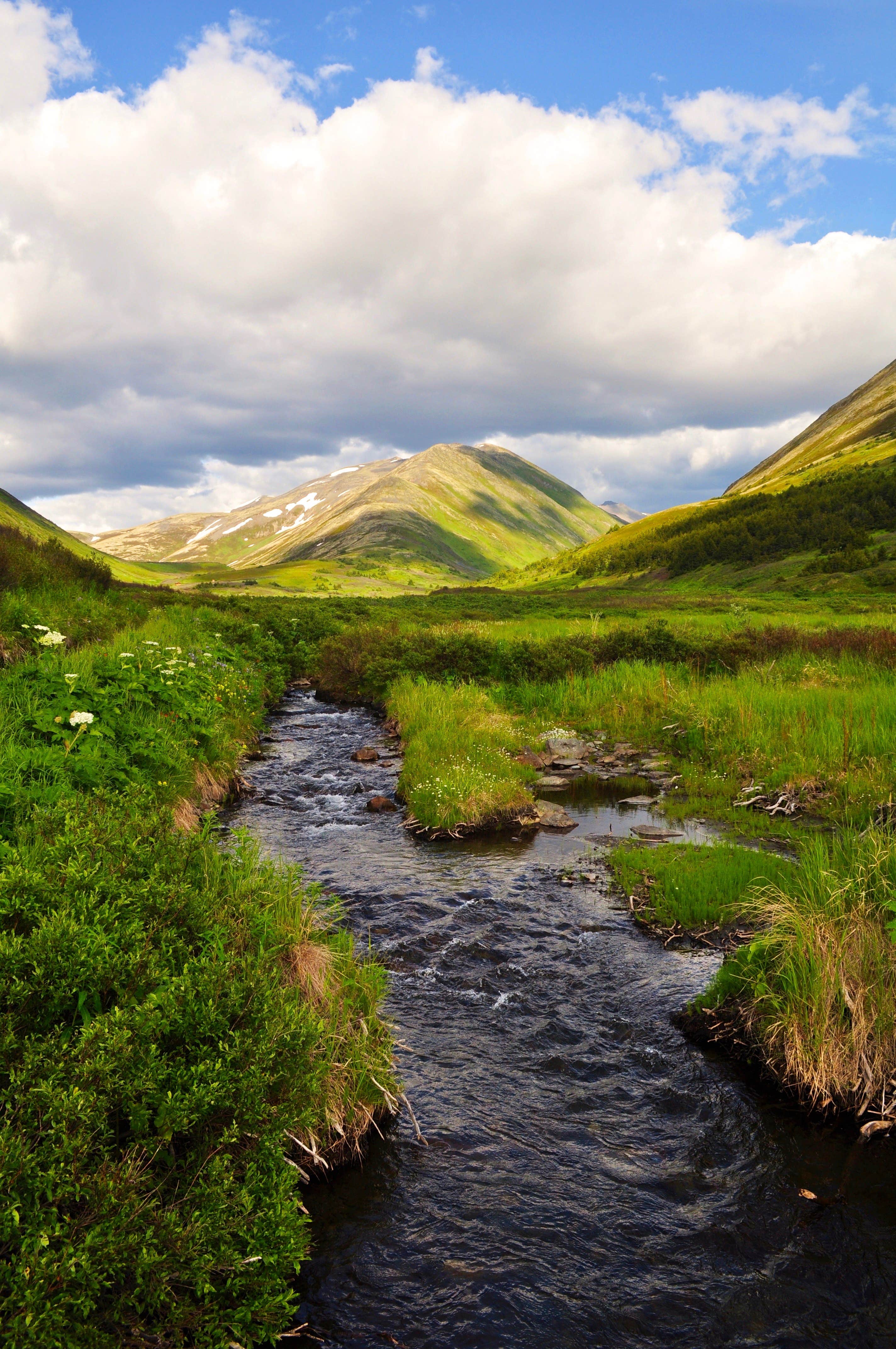 Camper-submitted photo at Juneau Lake Cabin near Moose Pass, AK