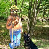 Review photo of George Washington National Forest Sherando Lake Campground by Joy A., June 21, 2019