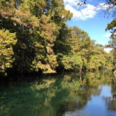 Review photo of Manatee Springs State Park Campground by David G., June 21, 2019