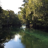 Review photo of Manatee Springs State Park Campground by David G., June 21, 2019