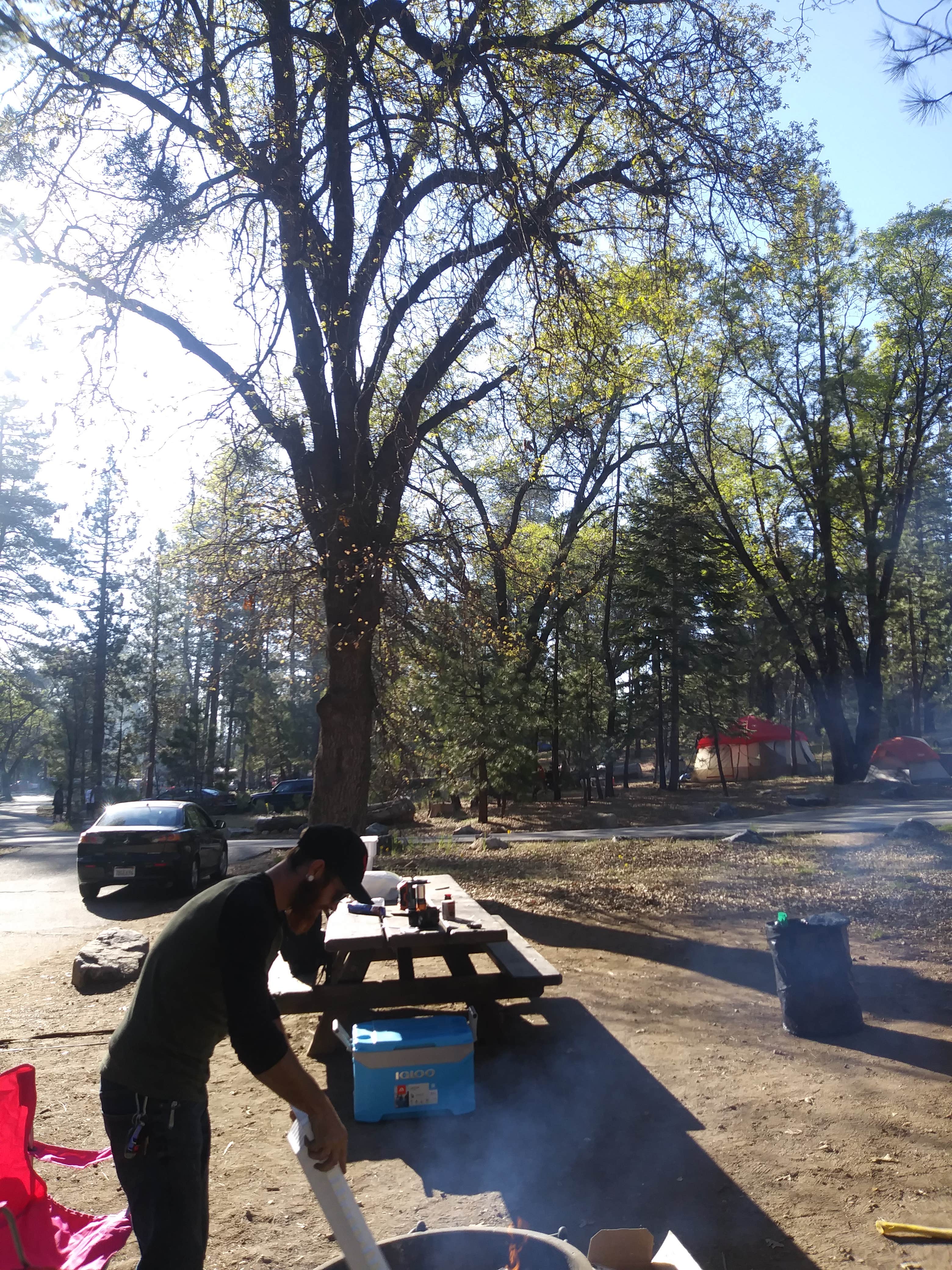 Camper-submitted photo at San Gorgonio Campground near Redlands, CA