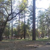 Review photo of San Gorgonio Campground by Sharesa J., June 21, 2019