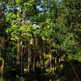 Review photo of Koreshan State Park Campground by David G., June 21, 2019