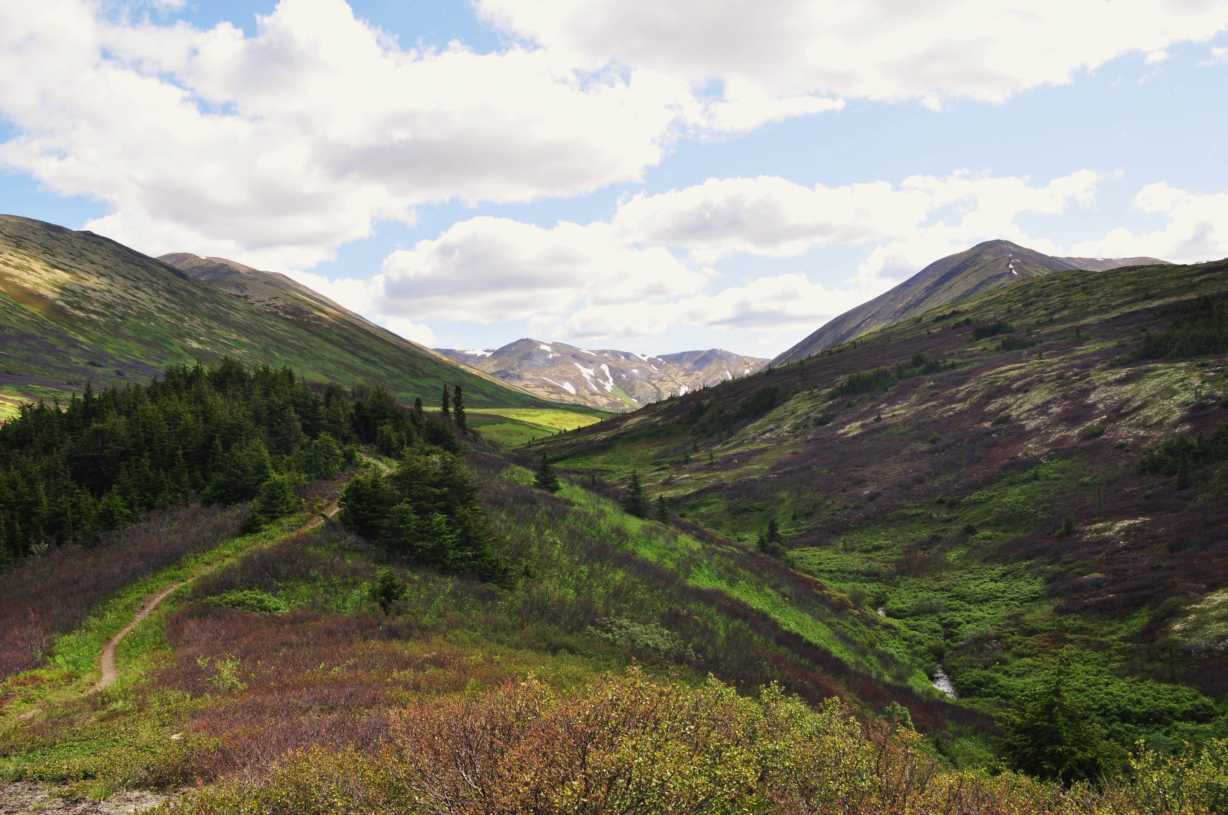 Camper-submitted photo at Juneau Lake Cabin near Moose Pass, AK