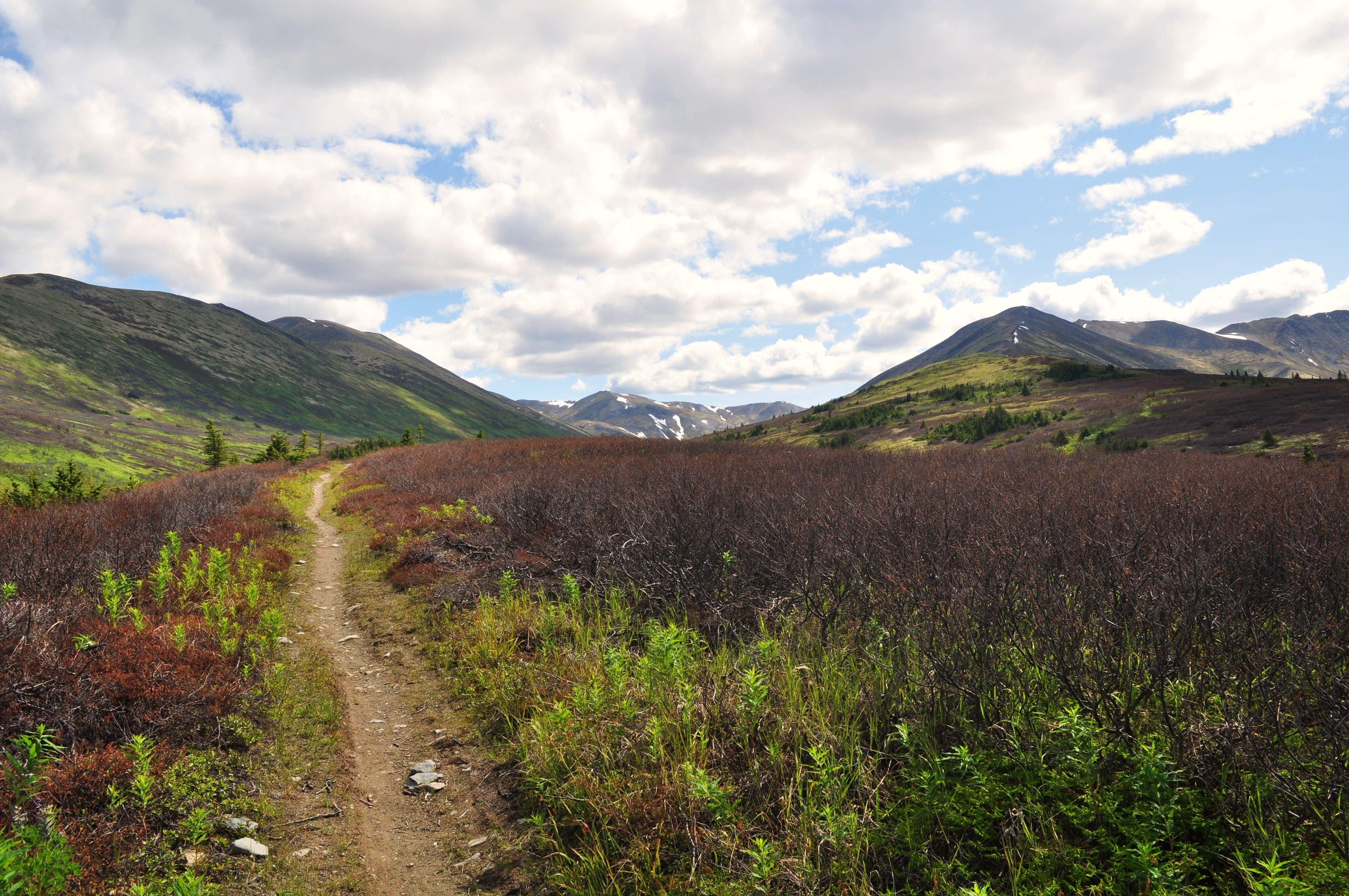 Camper submitted image from Juneau Lake Cabin - 1