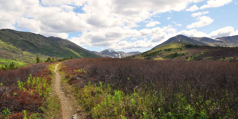 Camper submitted image from Juneau Lake Cabin