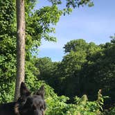 Review photo of North Fork Resort by Joy A., June 21, 2019