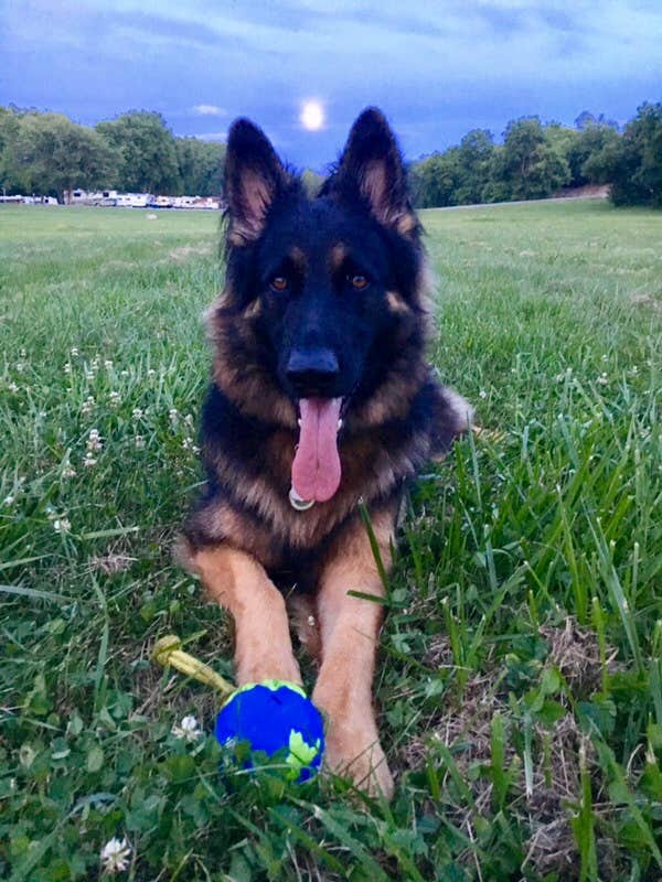 Camper-submitted photo at North Fork Resort near Flint Hill, VA