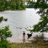 Review photo of Mckinney Campground by Joy A., June 21, 2019