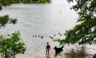 Joy A.'s photo of camping with pets at Mckinney Campground near Dallas, GA