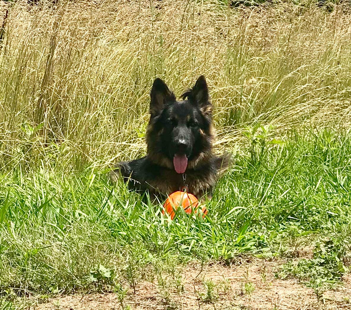 Camper-submitted photo at Melton Hill Dam Campground — Tennessee Valley Authority (TVA) near Harriman, TN