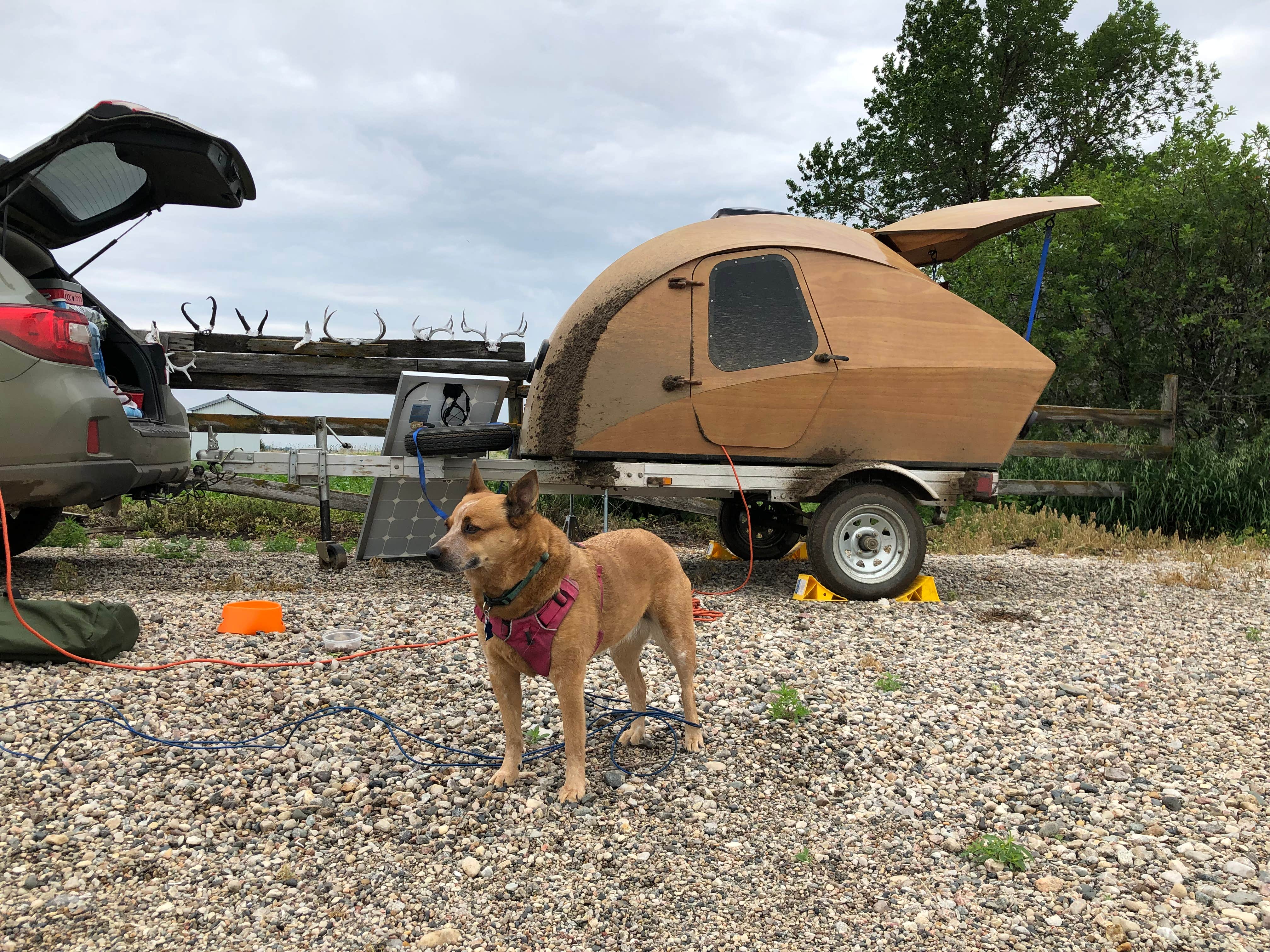 Art S.'s photo of camping with pets at Lazy Sy Acres near Selby, SD