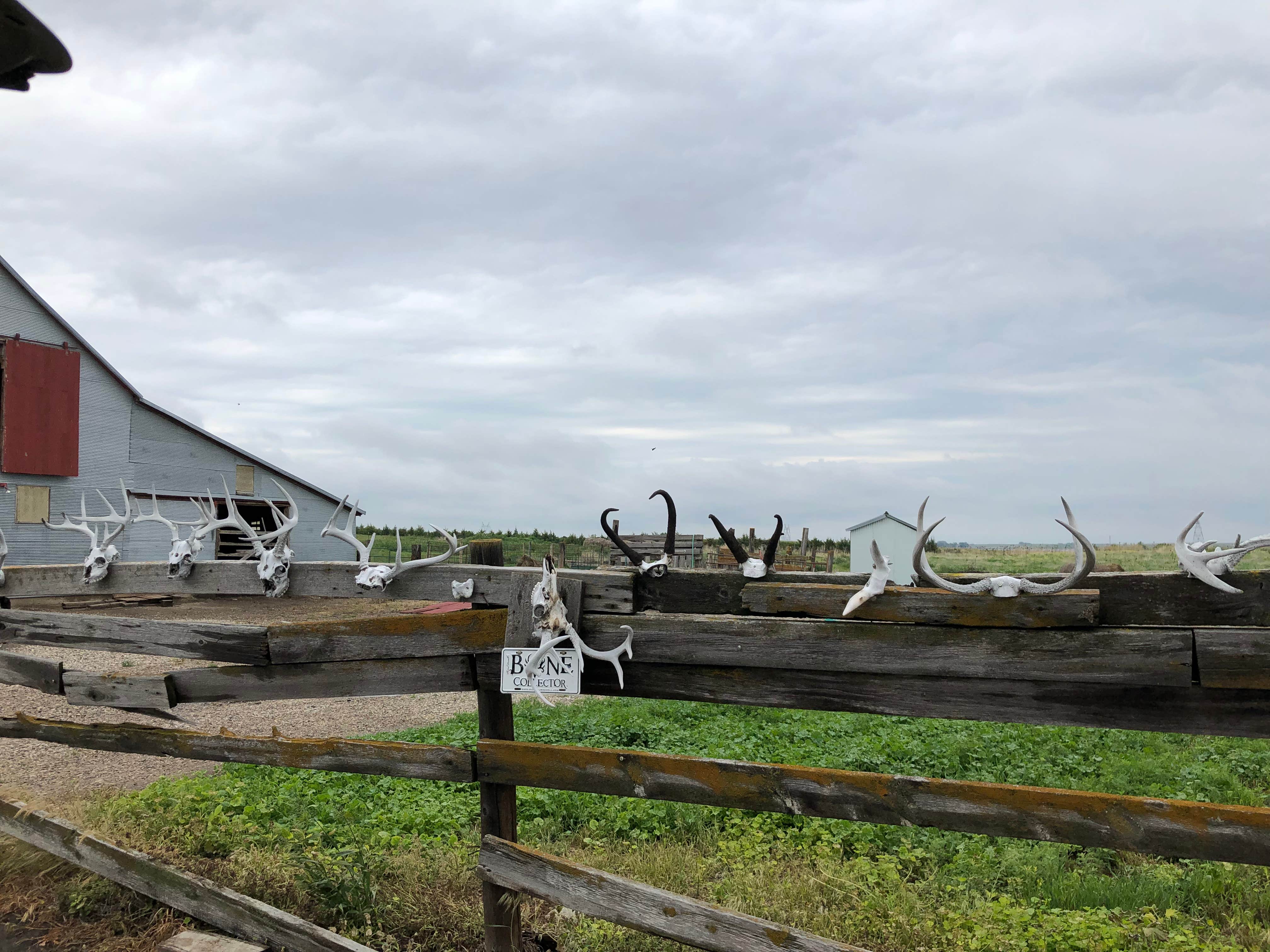 Camper-submitted photo at Lazy Sy Acres near Selby, SD