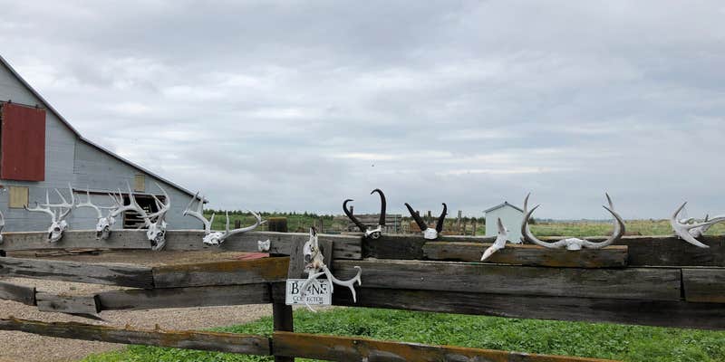 Camper submitted image from Lazy Sy Acres