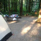 Review photo of Rasar State Park Campground by Bjorn S., August 22, 2015