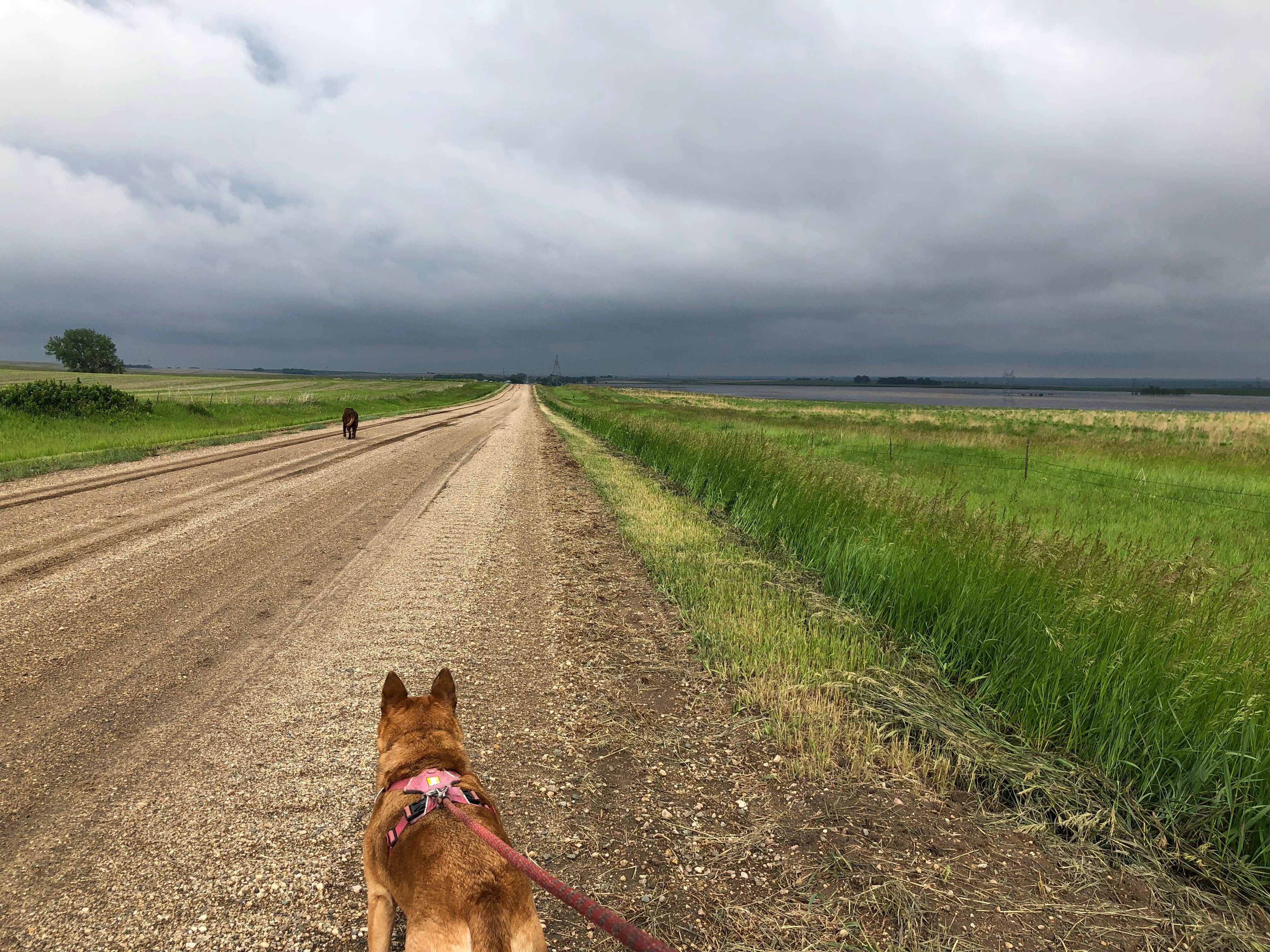 Camper-submitted photo at Lazy Sy Acres near Selby, SD