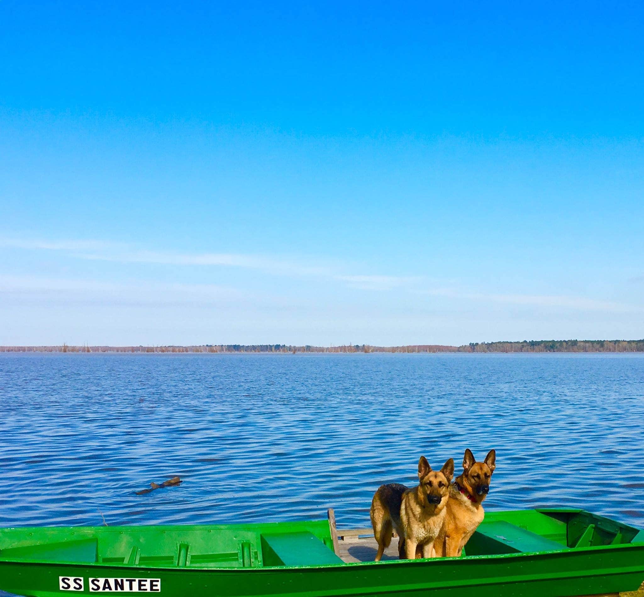 Joy A.'s photo of camping with pets at Santee Lakes KOA near Harleyville, SC
