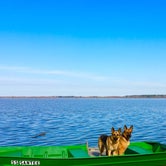 Review photo of Santee Lakes KOA by Joy A., May 9, 2019