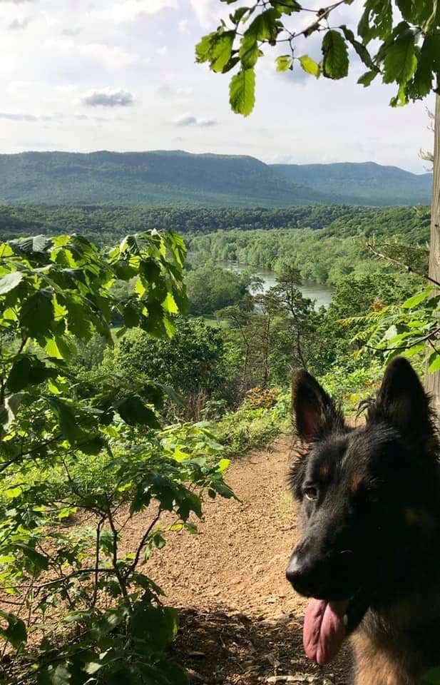 Joy A.'s photo of camping with pets at Andy Guest/Shenandoah River State Park Campground in Virginia
