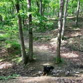 Review photo of Andy Guest/Shenandoah River State Park by Joy A., May 9, 2019