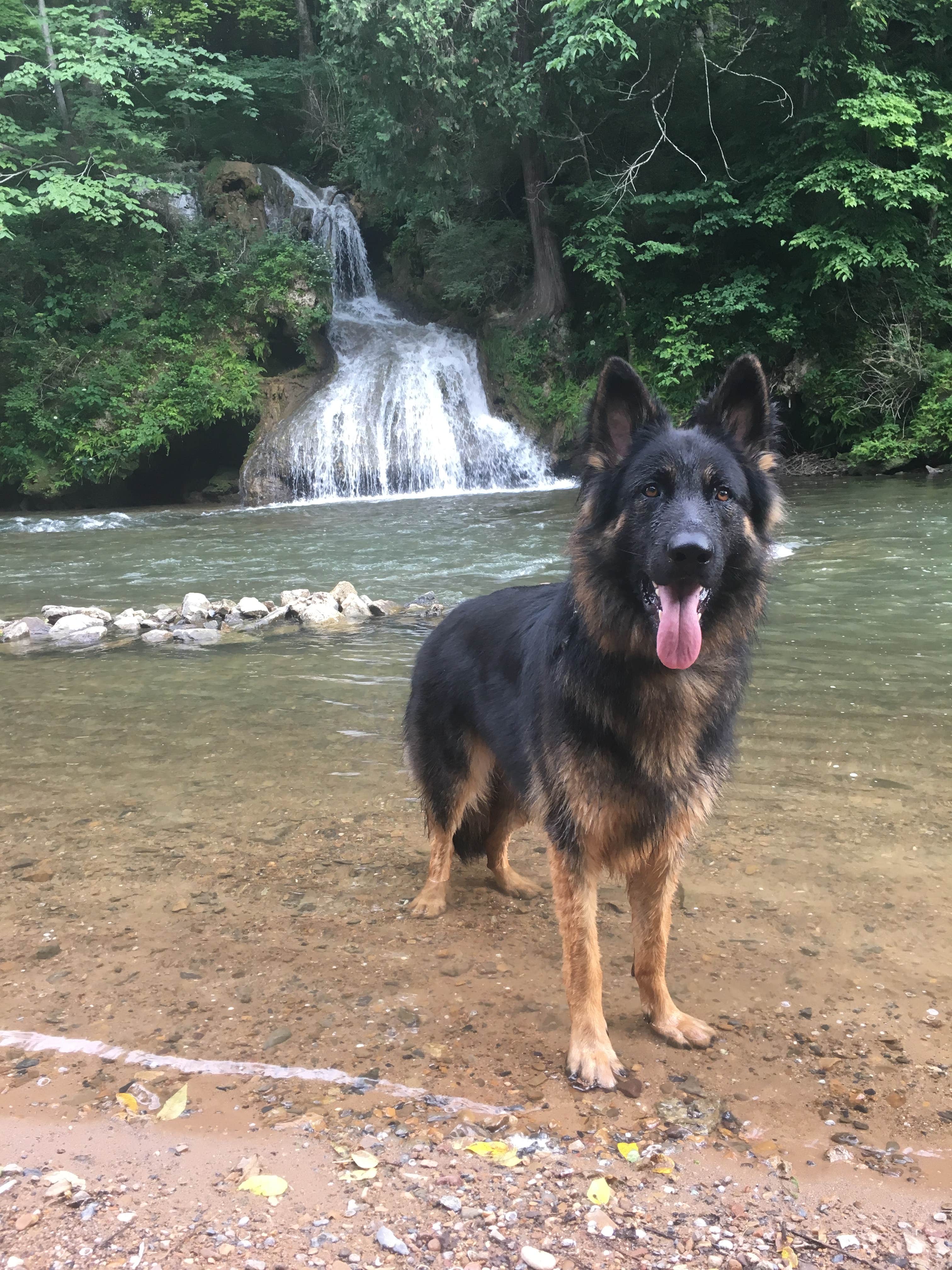 Camper-submitted photo at Shenandoah Valley Campground near George Washington & Jefferson National Forests