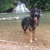 Review photo of Shenandoah Valley Campground by Joy A., June 21, 2019