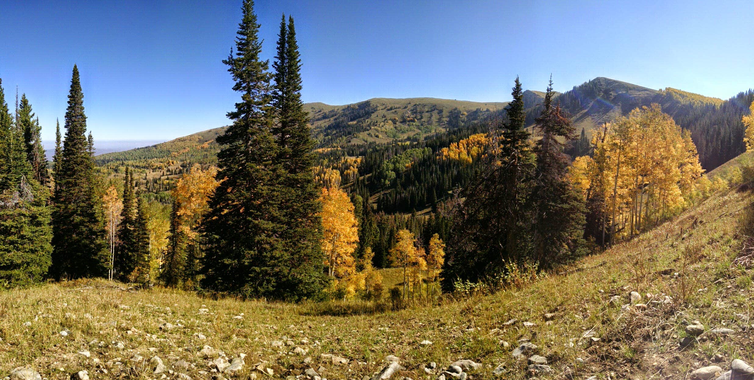 Camper submitted image from Smith-Morehouse Campground - 2