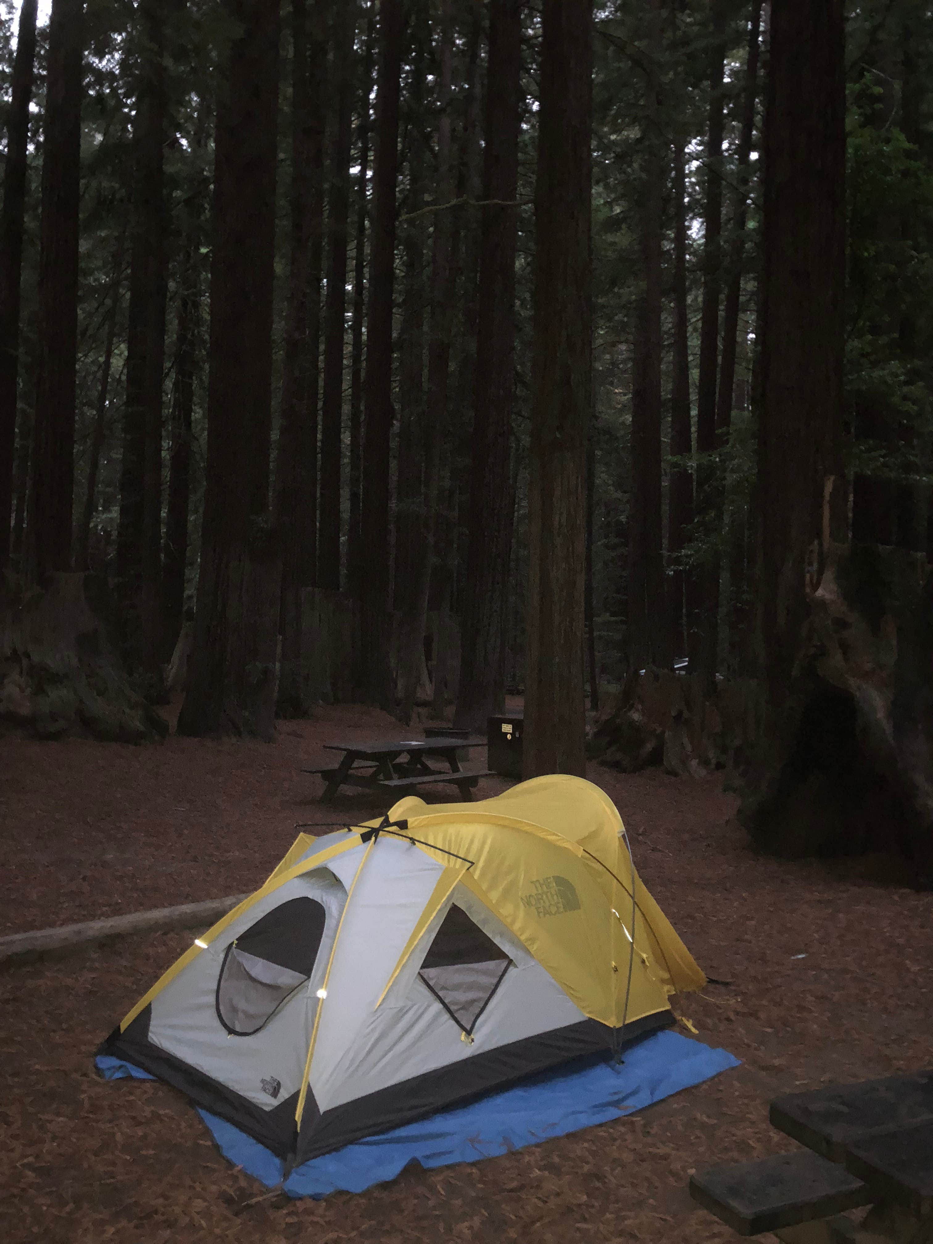 Camper submitted image from Burlington Campground — Humboldt Redwoods State Park - 4