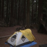 Review photo of Burlington Campground — Humboldt Redwoods State Park by Matt M., June 19, 2019