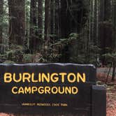 Review photo of Burlington Campground — Humboldt Redwoods State Park by Matt M., June 19, 2019