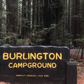 Review photo of Burlington Campground — Humboldt Redwoods State Park by Matt M., June 19, 2019