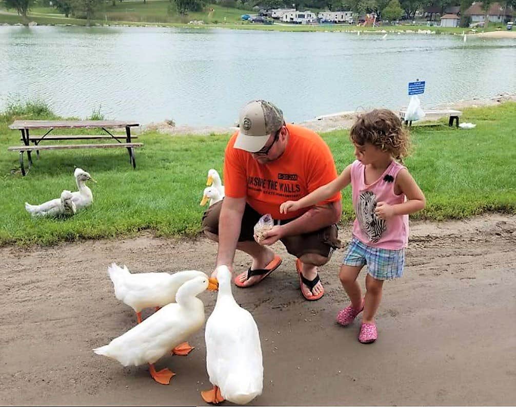 Camper submitted image from Beyonder Getaway at Sleepy Hollow - 2