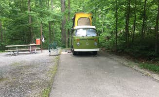 Jon S.'s photo of rv camping at Seneca Shadows near Riverton, WV