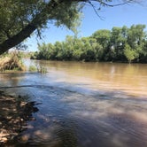 Review photo of Box Bar Shoreline Area and River Access Point by Nolan S., June 21, 2019