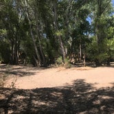 Review photo of Box Bar Shoreline Area and River Access Point by Nolan S., June 21, 2019