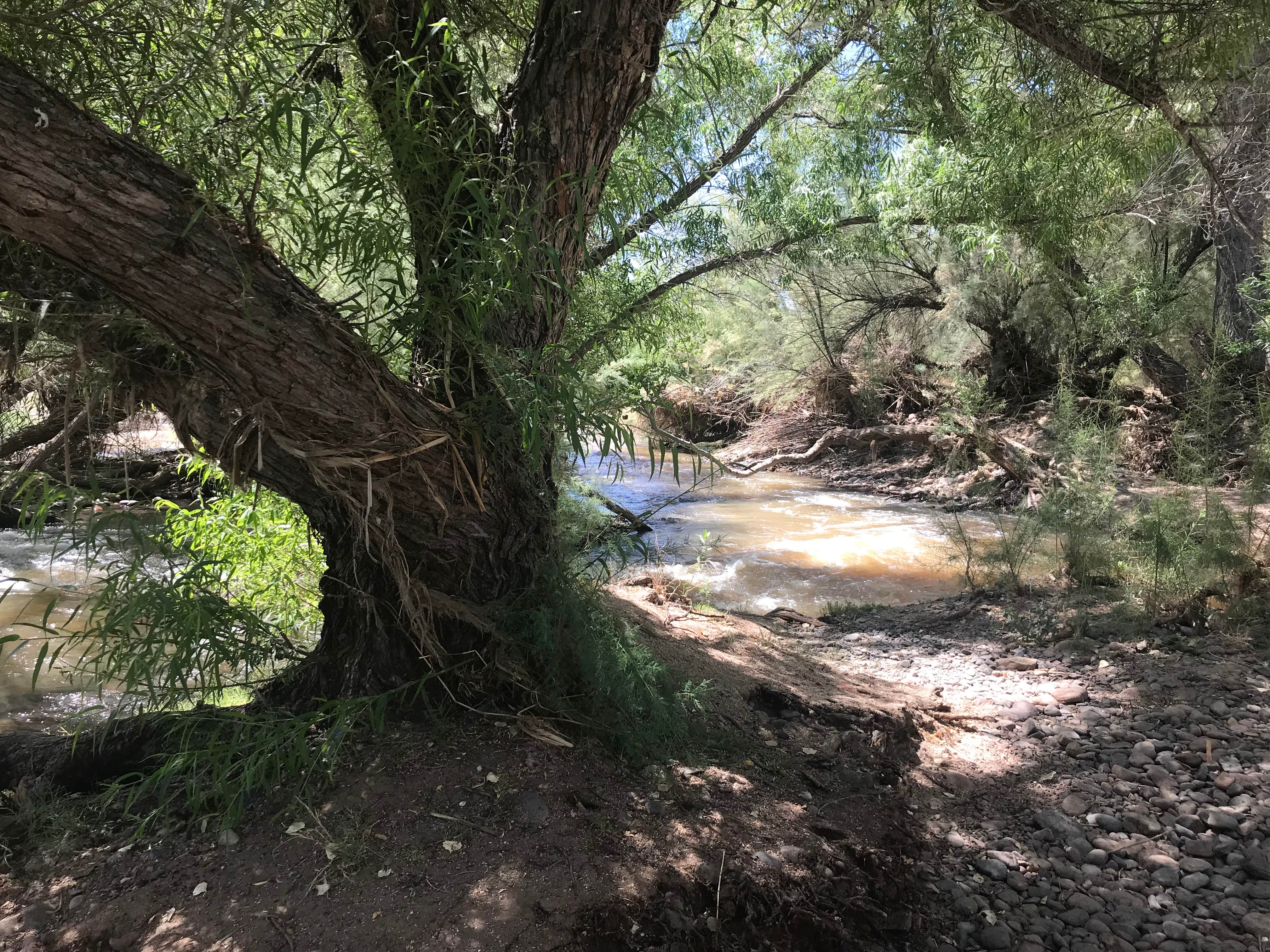 Camper-submitted photo at Box Bar Shoreline Area and River Access Point near Rio Verde, AZ