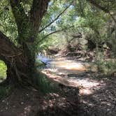 Review photo of Box Bar Shoreline Area and River Access Point by Nolan S., June 21, 2019