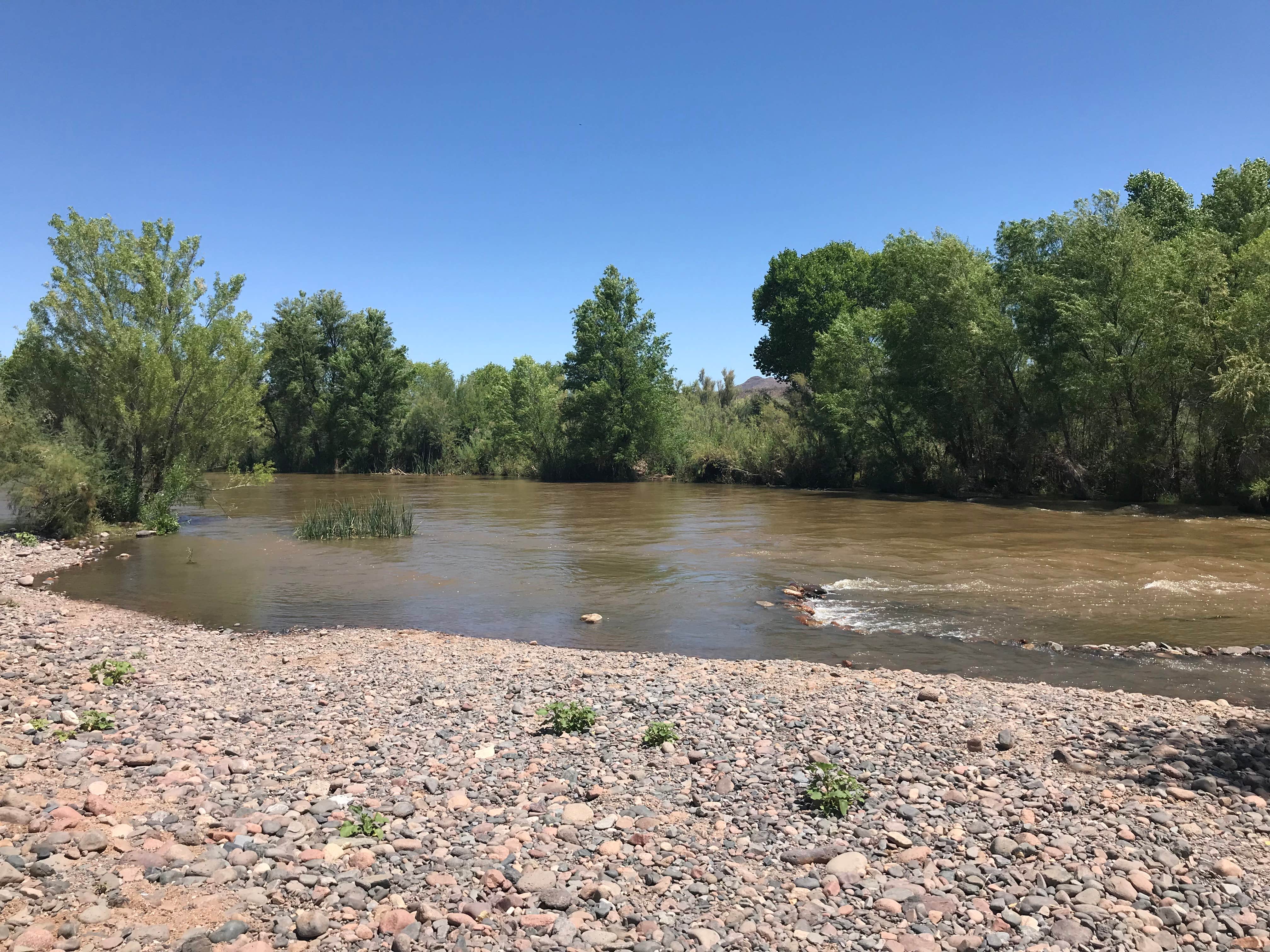 Camper-submitted photo at Box Bar Shoreline Area and River Access Point near Rio Verde, AZ